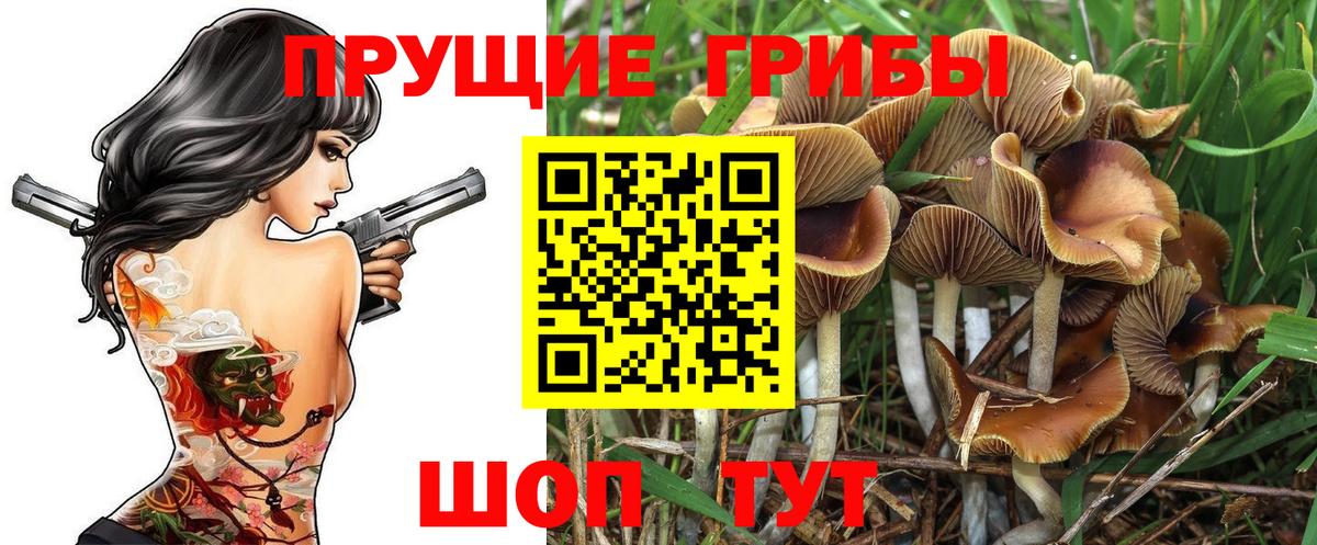 Галлюциногенные грибы мухоморы Муром